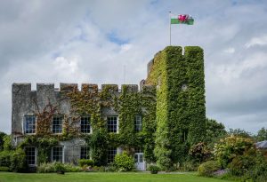 Fonmon Castle small