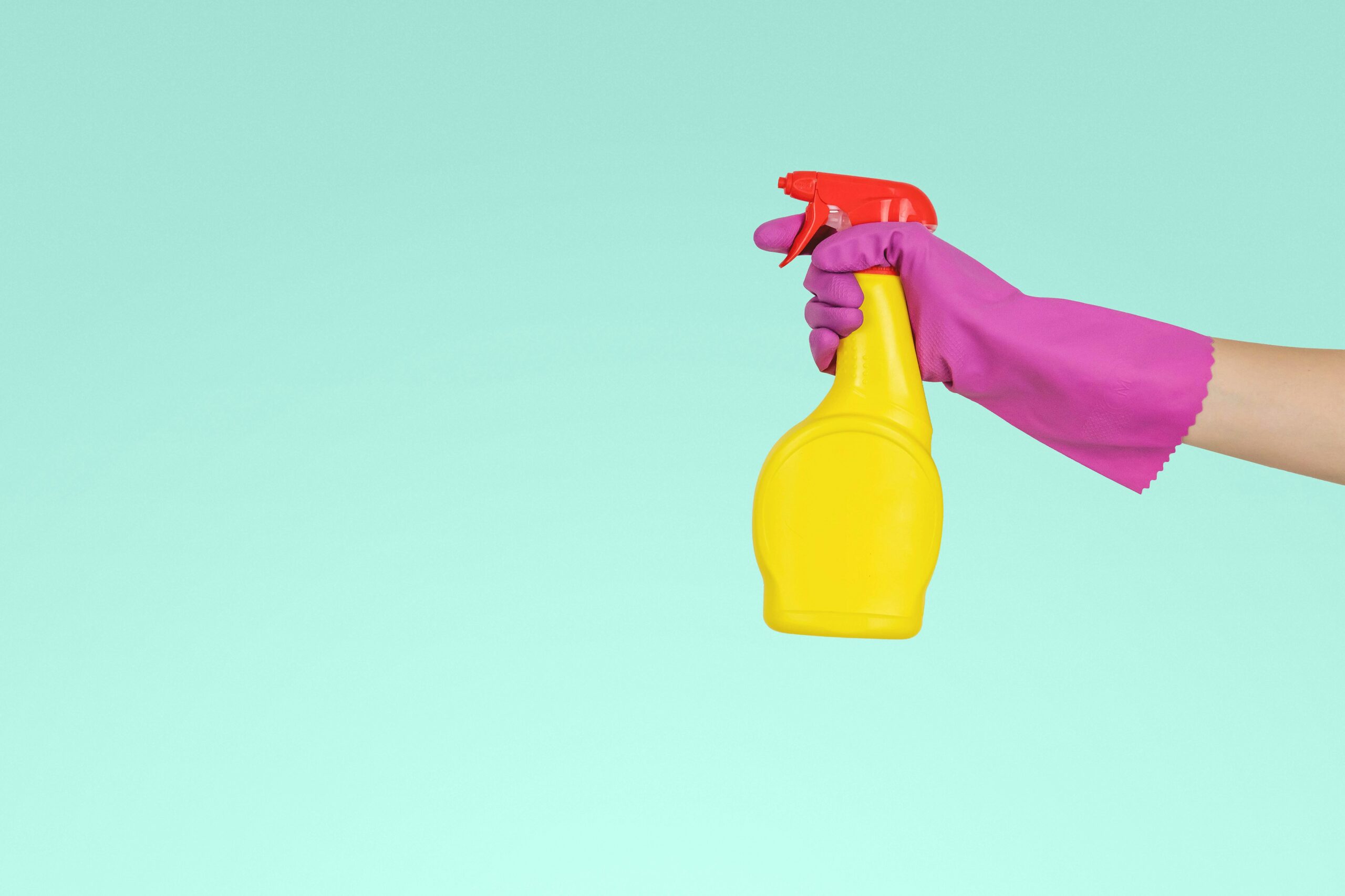 SpringClean2