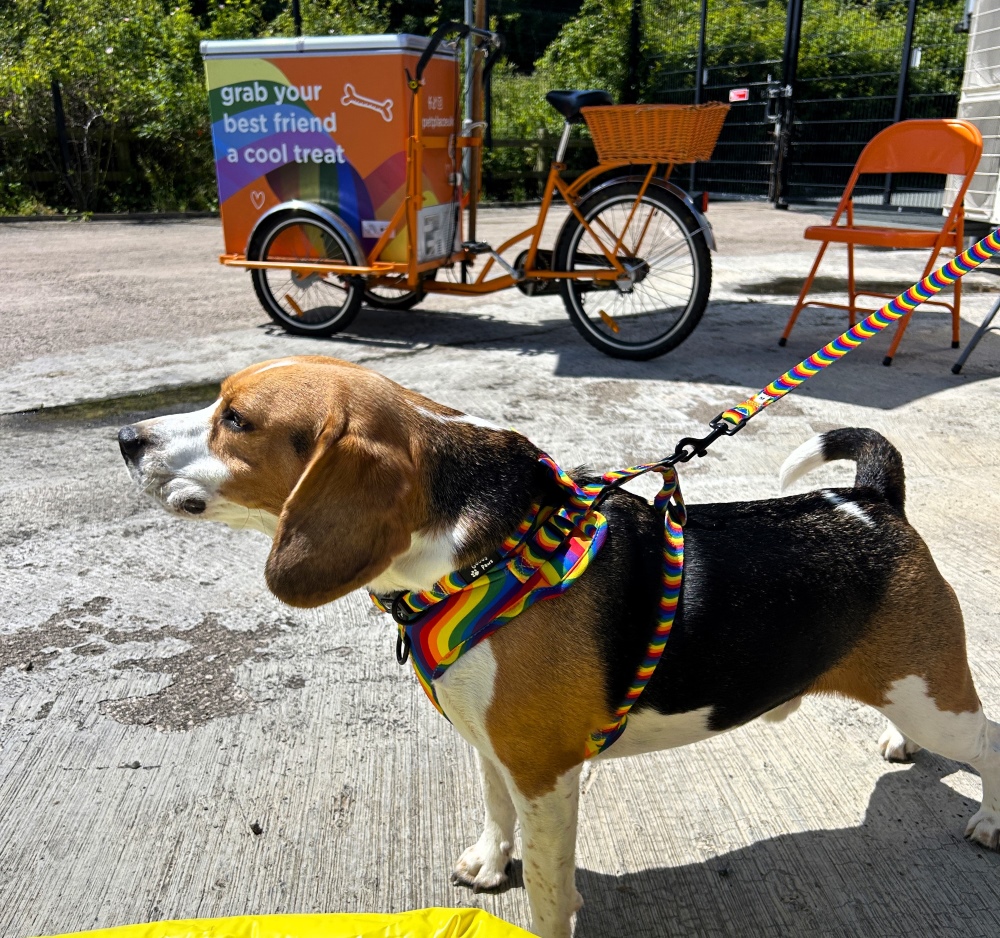 PetPlacePride3