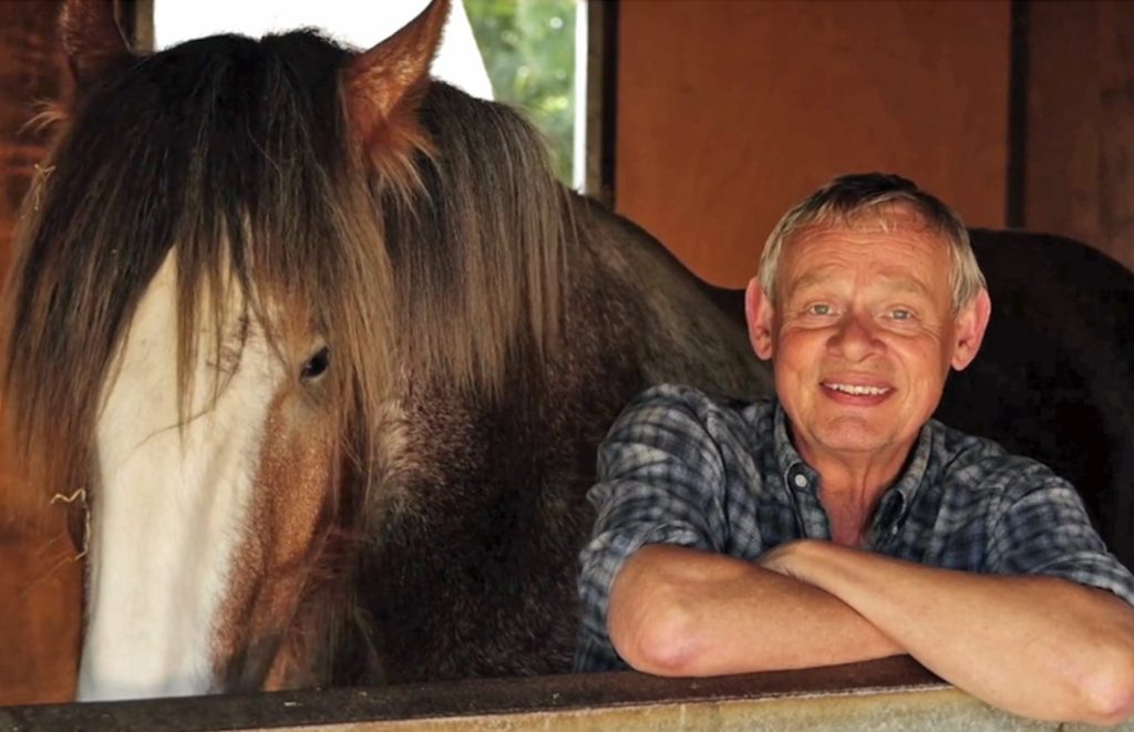 Martin Clunes copy